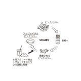 1DK スタイリングモイスチャライザー 48g