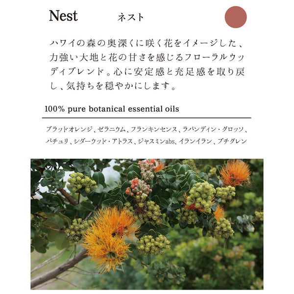 ヘア&ボディウォッシュ 300ml（Nest ネスト）