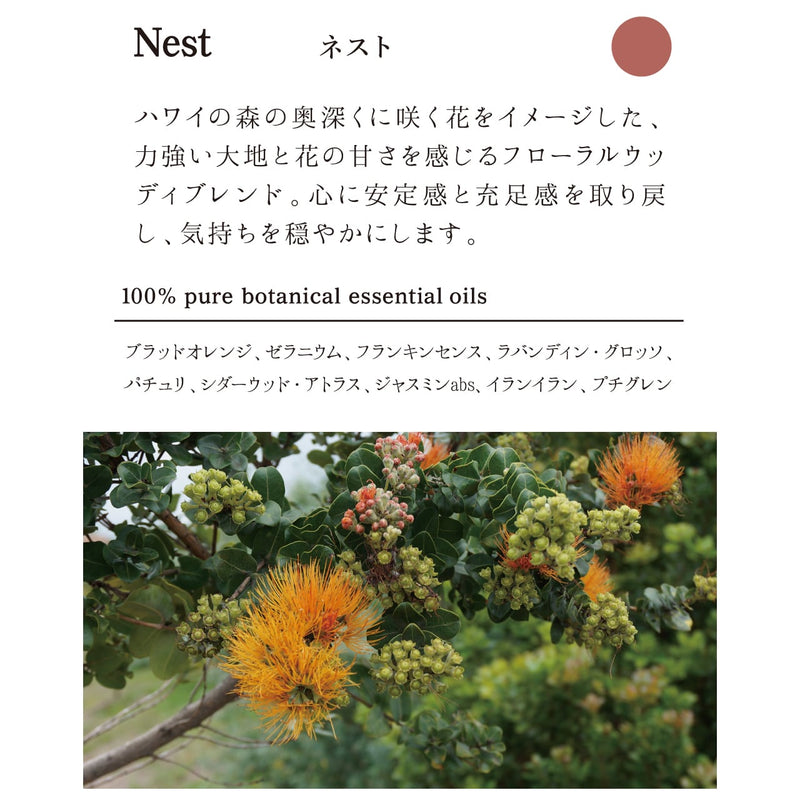 ヘア&ボディウォッシュ 300ml（Nest ネスト）