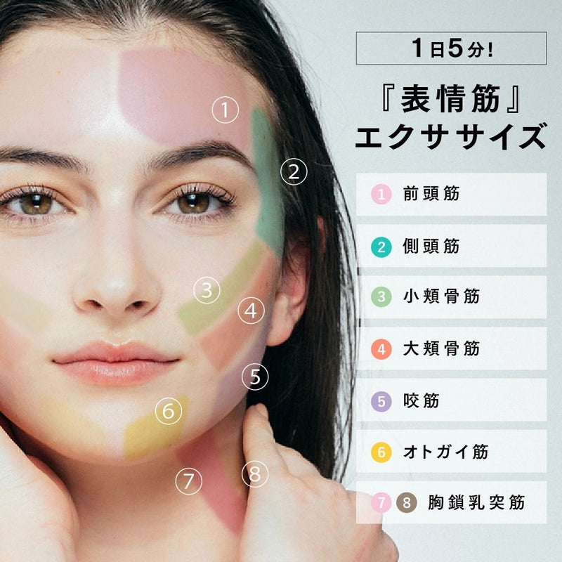 MYTREX マイトレックス EMS HEAD SPA PRO(N)