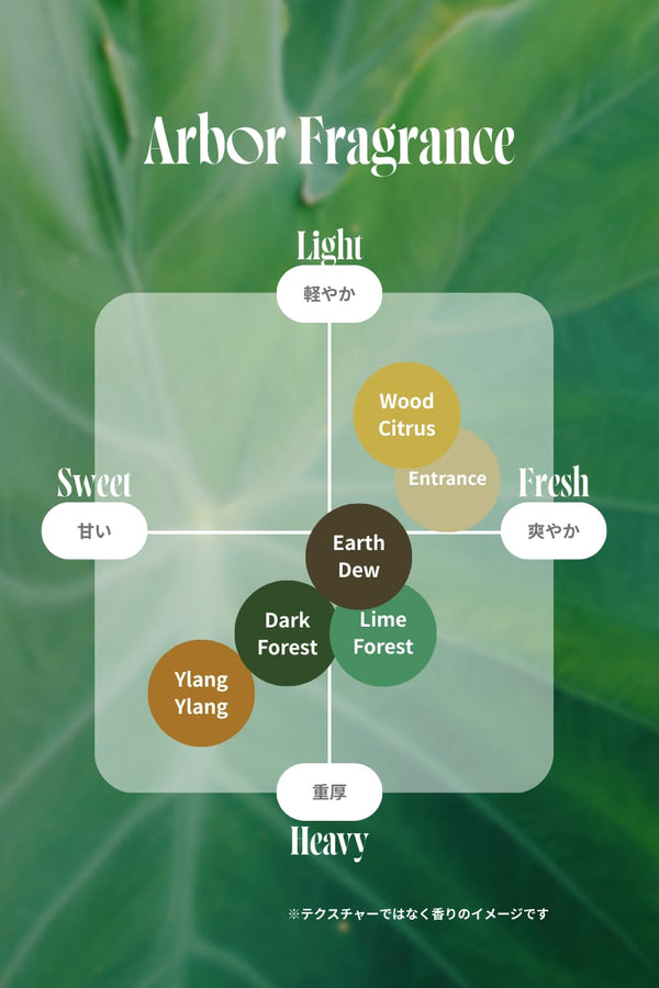 アルボル ヘアオイル 100ml Light / Ylang Ylang