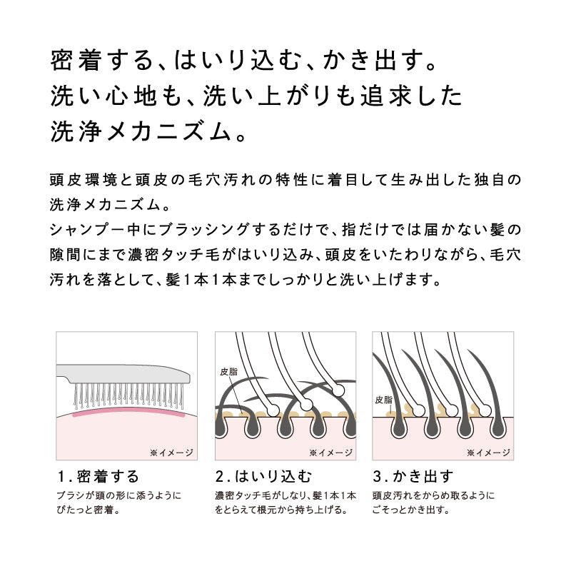 リファイオンケアブラシプレミアム