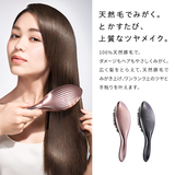 リファエールブラシレイ