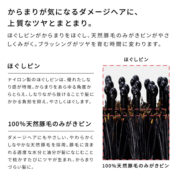 リファエールブラシレイ