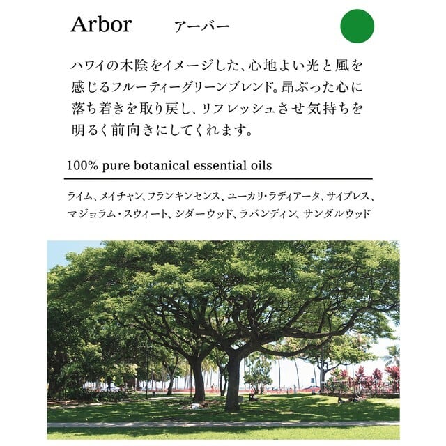 ヘア&ボディウォッシュ 300ml（Arbor アーバー）
