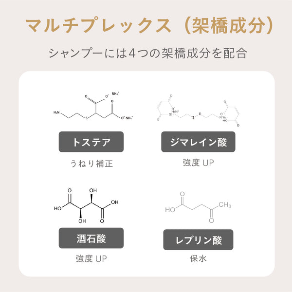 エスタブリッシュ コアプレックス シャンプー 400ml