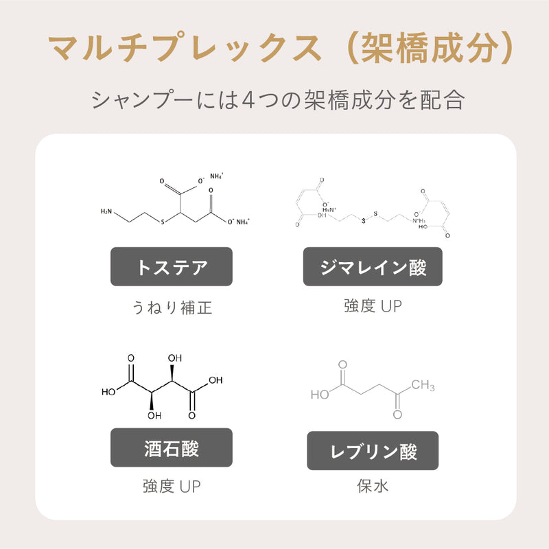 エスタブリッシュ コアプレックス シャンプー 400ml