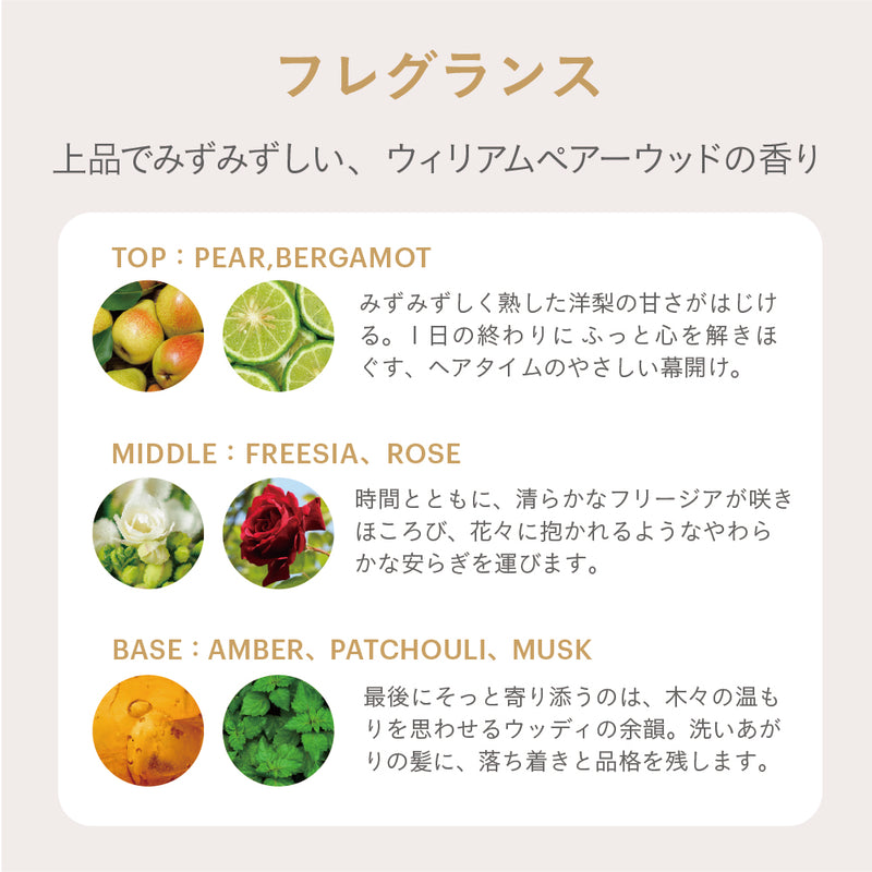 エスタブリッシュ コアプレックス シャンプー 400ml
