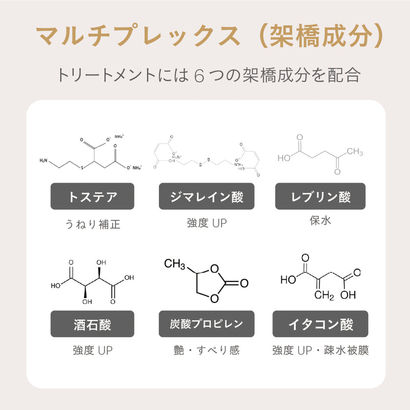 エスタブリッシュ コアプレックス トリートメント 400g